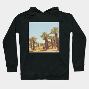 Pretty picture of a Palm Tree. Pretty Palm Trees Photography design with blue sky Hoodie